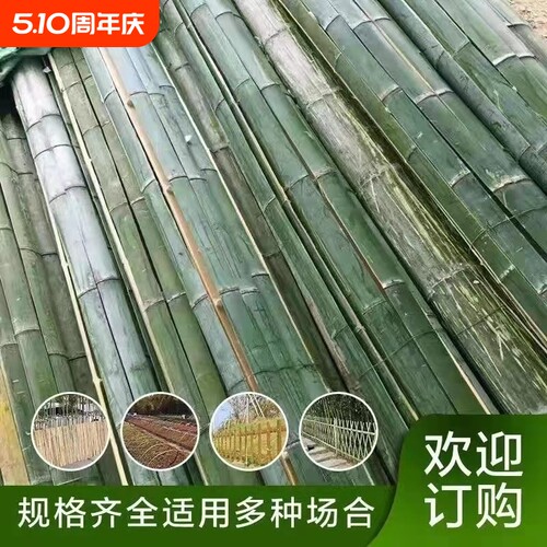 竹条大棚龙骨竹条批子工地农用