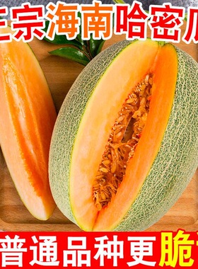 【爆甜】海南西州哈密瓜脆甜应当季水果老少皆宜产地直发整箱包邮