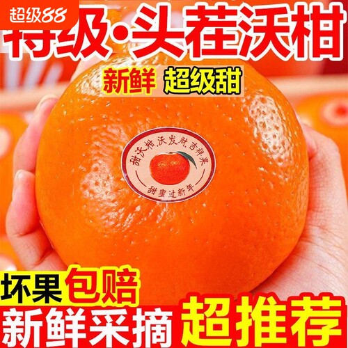 正宗云南爆甜沃柑水果新鲜应季当季橘子桔子整箱包邮蜜桔蜜橘现摘