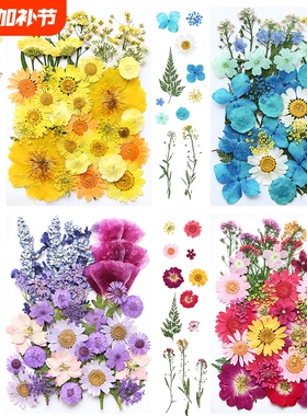 干花材料包diy永生花压花片草手工滴胶书签真花植物树叶标本樱花
