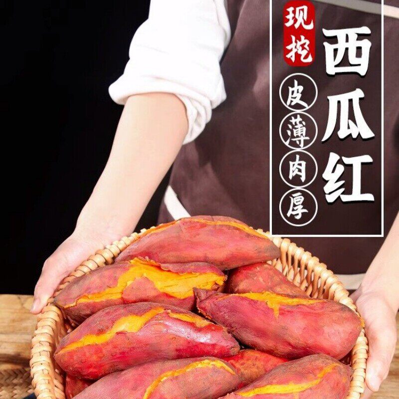 新鲜蜜薯板栗红薯沙地糖心地瓜农家自种番薯贵州烟薯香薯山芋西瓜