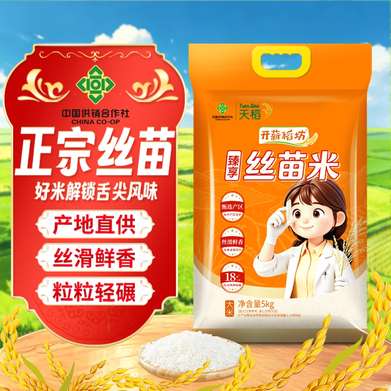开薪稻坊正宗长粒香丝苗米10斤广东一级籼米真空包装煲仔炒饭专用
