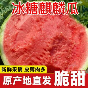 冰糖正宗麒麟西瓜脆甜西瓜8424薄皮无籽新鲜水果自提鲜果麒麟瓜