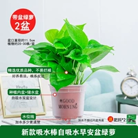 120#Фрукты Ранний Pen Pot Green Loom [2] Pot +2 удобрения