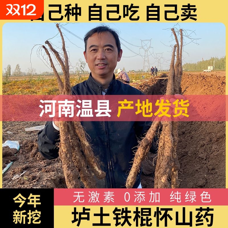 铁棍山药河南焦作温县正宗垆土怀淮山药新鲜铁杆蔬菜批发包邮怀山