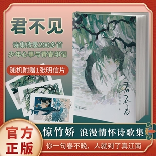 惊竹娇著 你一句春不晚 我就到了真江南 长短句 君不见 作者S部青春诗集 少年意气与浪漫情怀现当代文学书籍 飞机盒发货