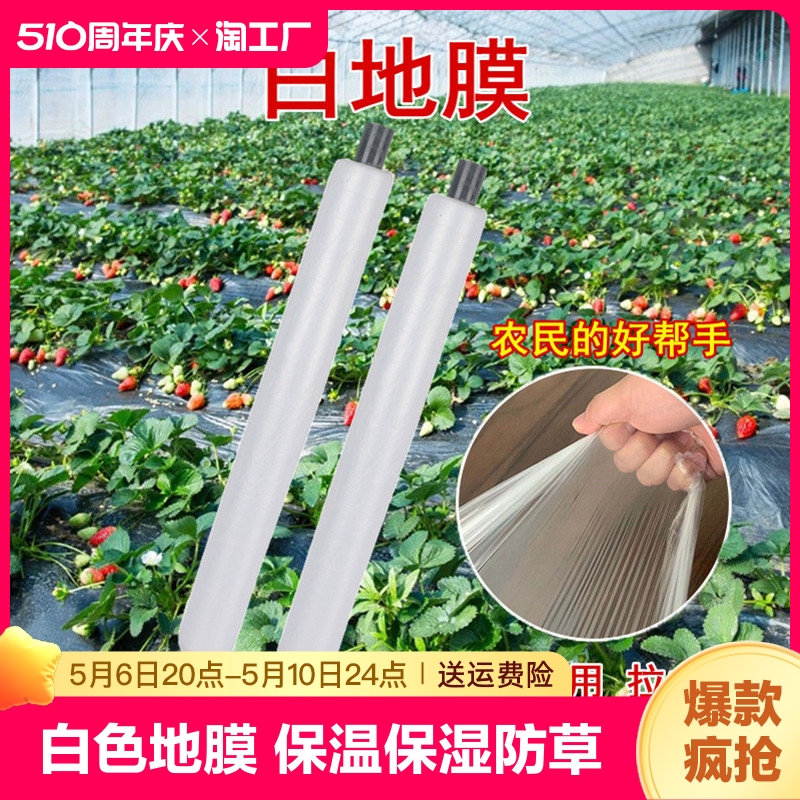 农用白色地膜保温蔬菜大棚种植防草塑料小拱棚薄膜防渗地面覆盖