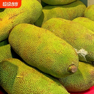 正宗海南菠萝蜜整个新鲜波罗蜜榴莲热带水果黄肉批发整箱包邮菠萝