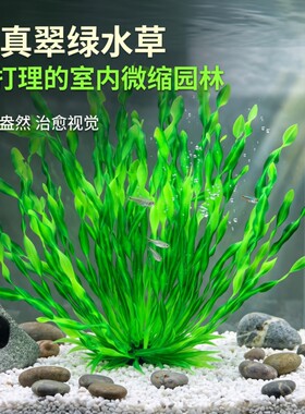 不掉色不污染水质安全无害