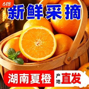 现摘现发夏橙新鲜晚熟榨汁手剥橙子脐橙香橙甜橙产地直发整箱
