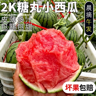 现摘2k西瓜新鲜网红小糖丸西瓜麒麟西瓜特小凤冰淇淋脆甜整箱包邮