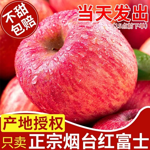 烟台红富士苹果3斤中|千人加购