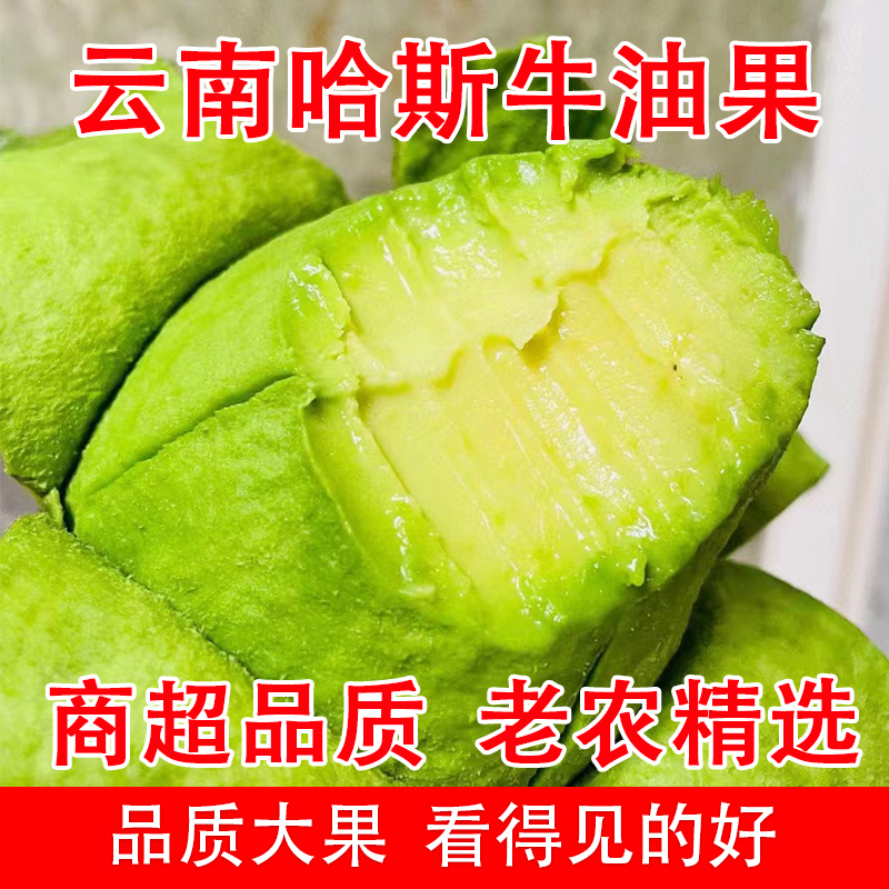 云南哈斯牛油果大果10个当季鲜果
