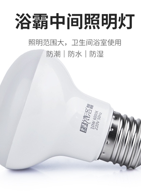 浴霸中间照明灯泡led节能家用卫生间小灯泡E27取暖灯防水控制室内