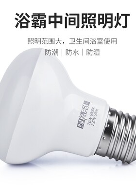 浴霸中间照明灯泡E27螺口小灯泡