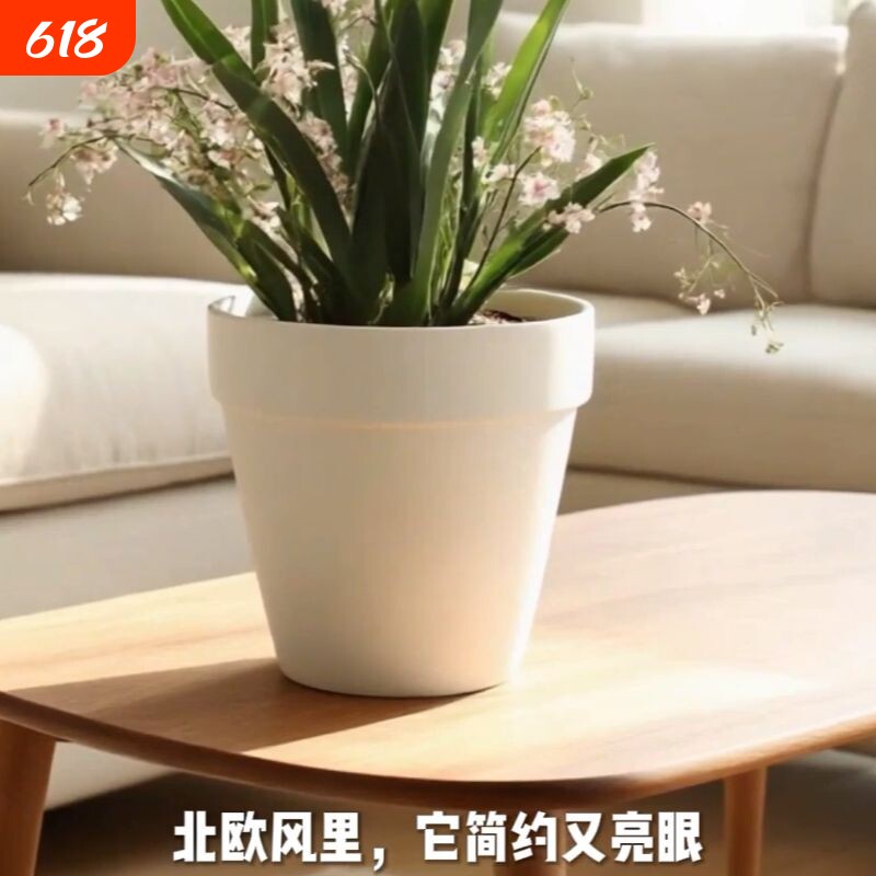 花盆陶瓷家用冬青多肉蝴蝶兰专用绿植兰花透气陶土盆特价桌面托盘