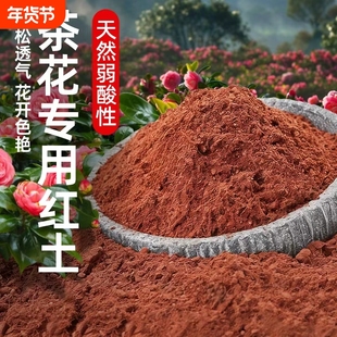 红土红泥茶花专用酸性云南营养天然种植土壤阳台盆栽种花土花卉土