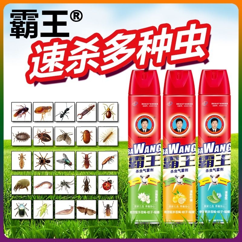 杀虫剂清香750ml瓶家用室内杀蟑螂蚊虫苍蝇气雾剂飞虫房间蚊子