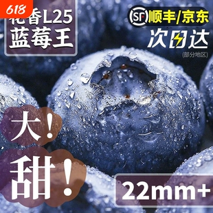 【央视品牌】顾一!顺丰冷链云南花香蓝莓4盒