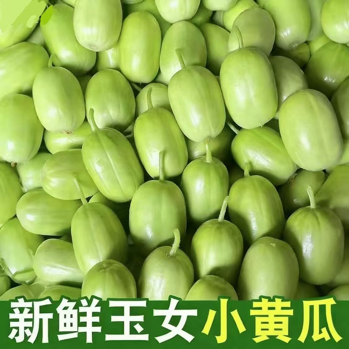 黄瓜新鲜玉女水果小黄瓜拇指生吃青瓜东北旱白玉蔬菜即食迷你脆甜图片