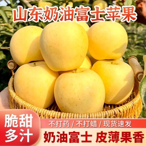 山东正宗黄金奶油富士苹果脆甜薄皮奶油味新鲜苹果纯天然孕妇水果