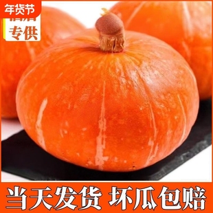 金瓜南瓜红皮正宗山东板栗味黄圆金丝新鲜贝贝小当季生鲜