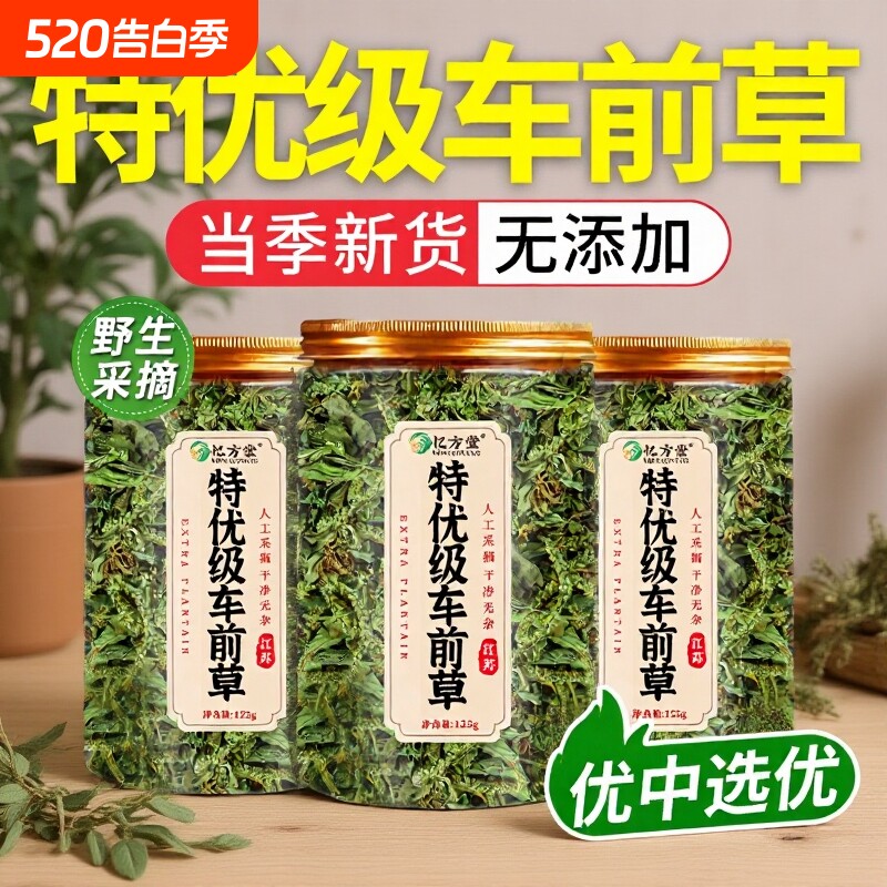 车前草中药材正品野生新鲜干货官方旗舰店袋泡茶水喝的功效与作用