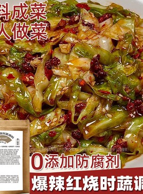 红烧时蔬调料酱类香辣菜谱式调料