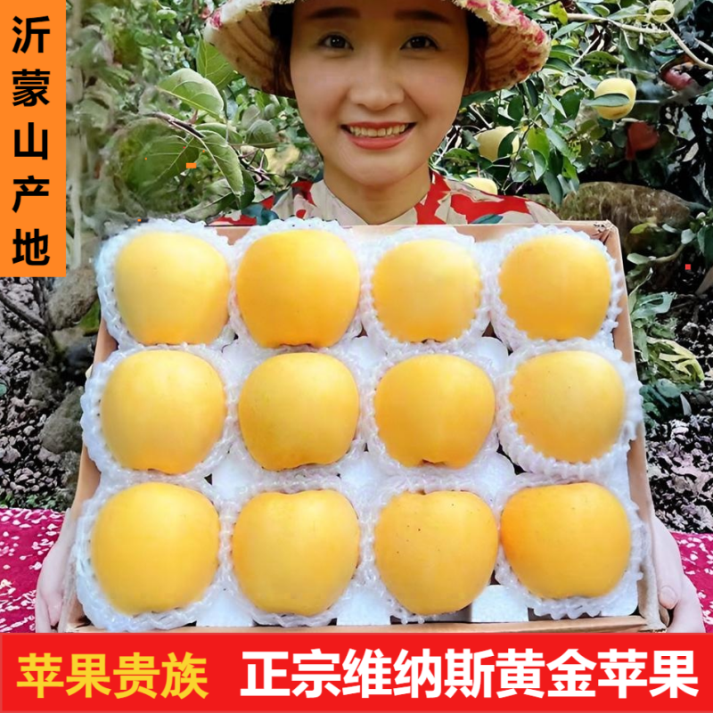 正宗维纳斯黄金苹果新鲜水果当季整箱孕妇山东脆甜奶油糖心丑苹果