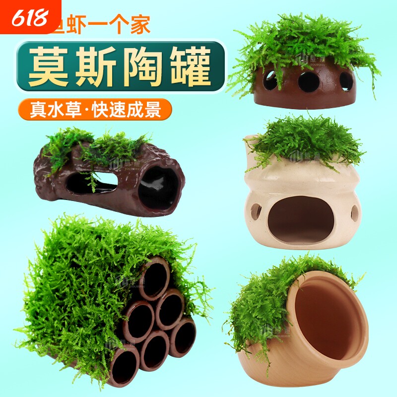 莫斯陶罐水草鱼缸造景真植物躲避罐虾屋小摆件繁殖躲避屋底部水质
