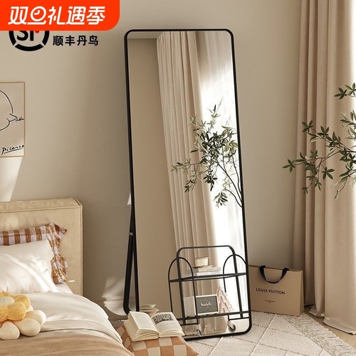ins风全身穿衣镜|超6.6万次加购