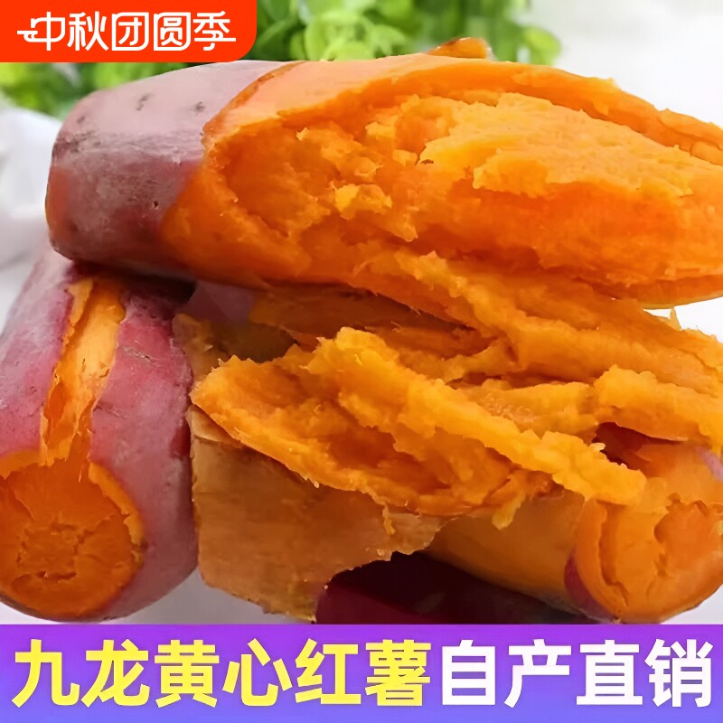 正宗蜜薯龙九沙地红心现挖黄心番薯新鲜糖心地瓜板栗红薯山芋批发										