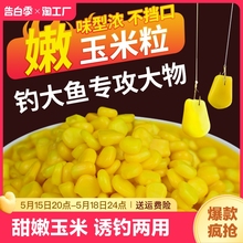 甜嫩玉米饵料野钓鲤鱼专用钓鱼翘嘴草鱼食颗粒挂钩玉米粒串钩打窝