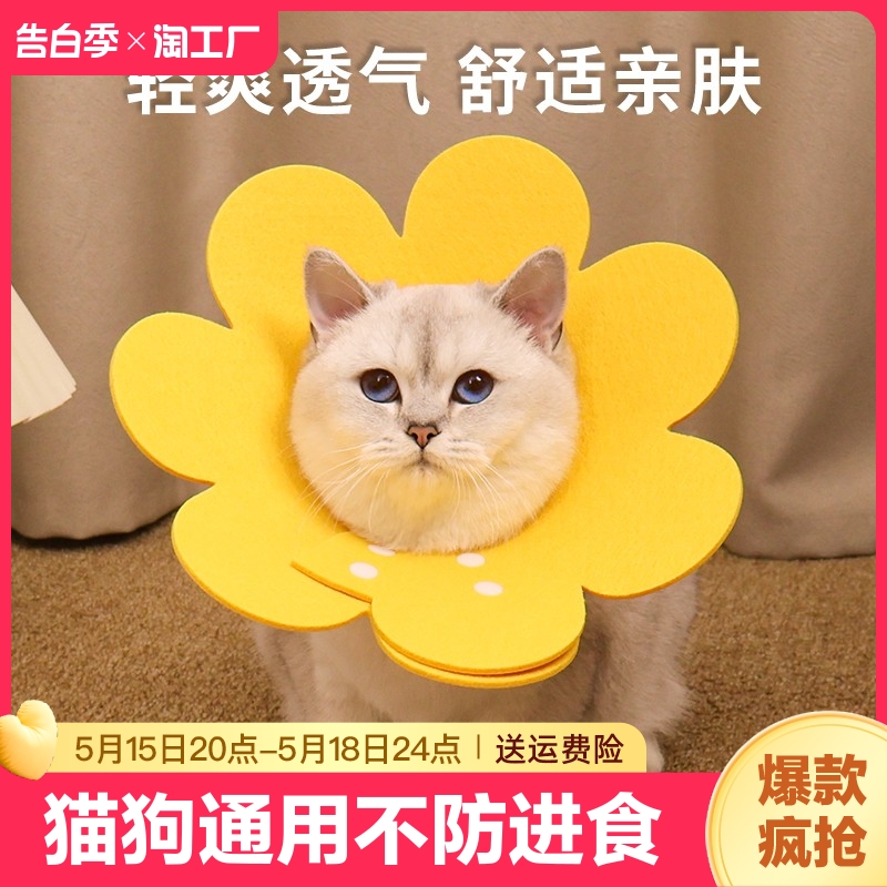 伊丽莎白圈猫咪绝育项圈伊利沙白圈防舔颈圈头套狗狗脖圈宠物用品