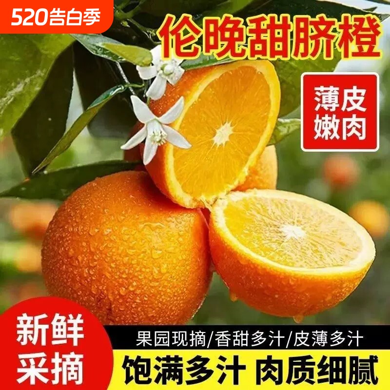 正宗湖北秭归伦晚脐橙橙子旗官方旗舰店新鲜水果甜现摘春橙大果