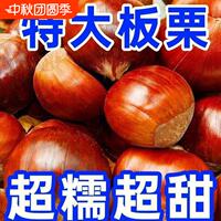 【新下树】5斤现摘丹东板栗