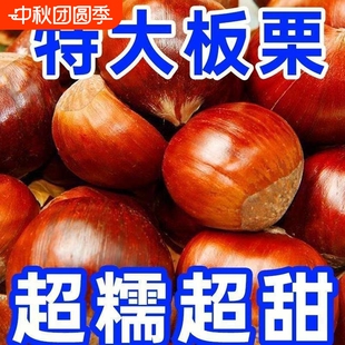 辽宁农家新鲜生摘丹东板栗4.5-5.2斤