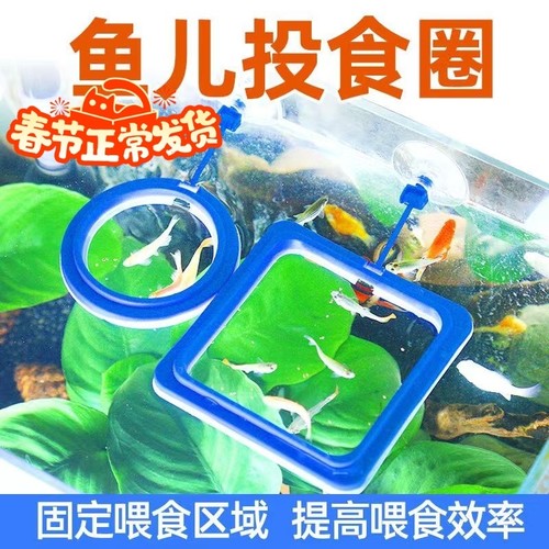 鱼缸喂食器防飘散漂浮悬浮喂食圈投食器投食圈鱼食投喂器喂鱼固定