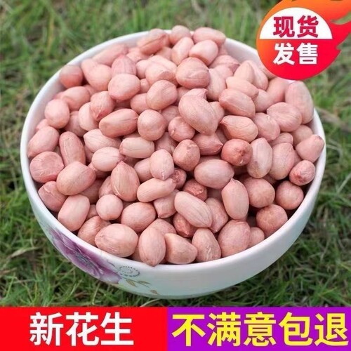 2025年新货白沙花生米大粒粉红皮带壳不带壳榨油花生大颗粒食用