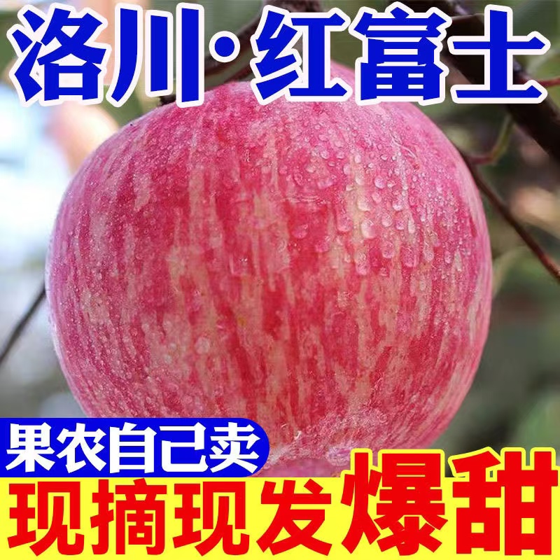 陕西洛川红富士苹果新鲜水果脆甜多汁大果80mm以上产地洛川