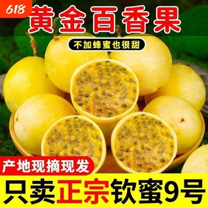 广西钦蜜9号黄金百香果新鲜应当季水果甜蜜多汁皱皮原浆现摘现发D