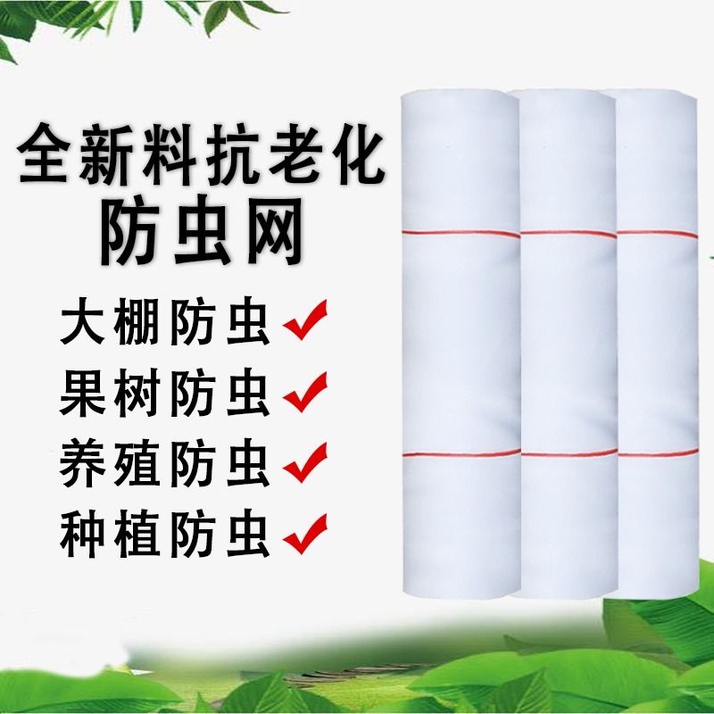 大棚防虫网种菜蔬菜沙网防鸟网布尼龙网罩加厚围网菜园家用农用