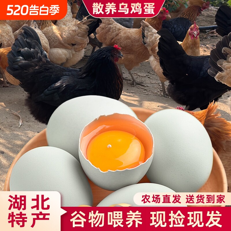 农家散养乌鸡蛋大别山放养绿壳蛋谷物鲜蛋儿童孕妇优选月子鸡蛋