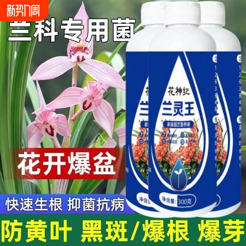 兰灵王兰花专用肥蝴蝶兰君子兰肥料兰科专用菌兰花营养液黄叶克星