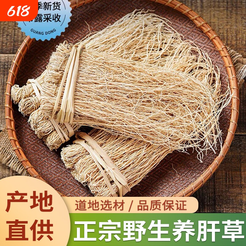 广东韶关特产养肝草龙须草野生护肝丝线根新鲜干货煲汤料农家自晒
