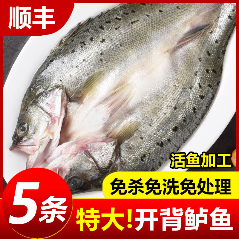 开背海鲈鱼冷冻深海鱼海鲜水产烤鱼半成品商用