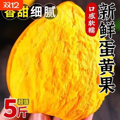 新鲜蛋黄果5斤新鲜粉糯鸡蛋果狮子头果当季热带水果特产产地包邮