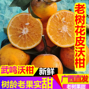 广西老树花皮武鸣沃柑净重4.5斤