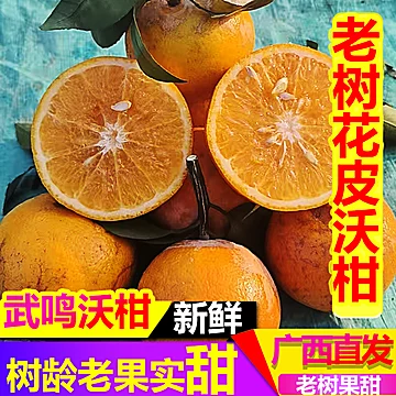 广西老树花皮武鸣沃柑净重4.5斤