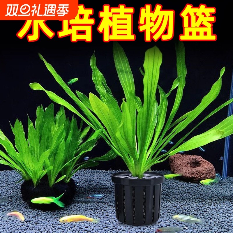 鱼缸水培植物篮家用水草种植水草泥沉底固定器种植造景装饰定植篮